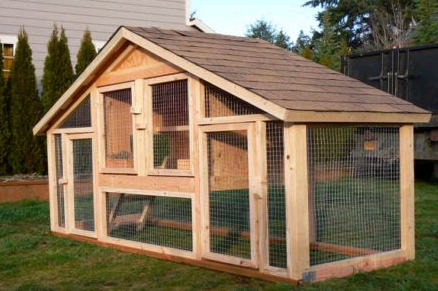 Amazing Chicken Coops | TBN Ranch