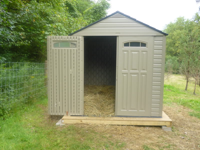 Plastic Shed Chicken Co-op