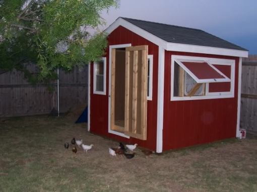 Tuff Shed Chicken Co-op