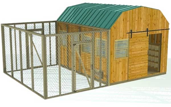 Build a Chicken Coop | TBN Ranch