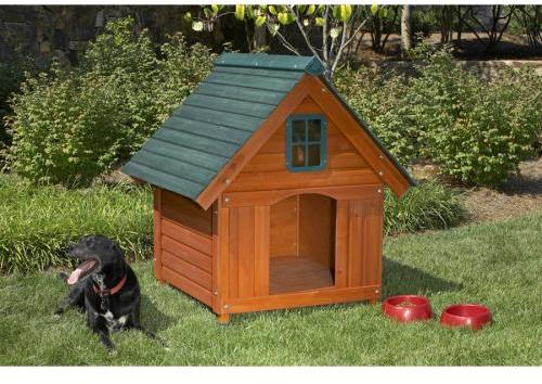 Dog House Chicken Coop, Great Ideas! | TBN Ranch