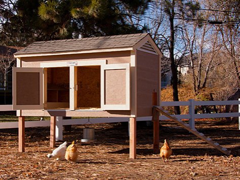 DIY Shed Chicken Coop Plans PDF Plans Download