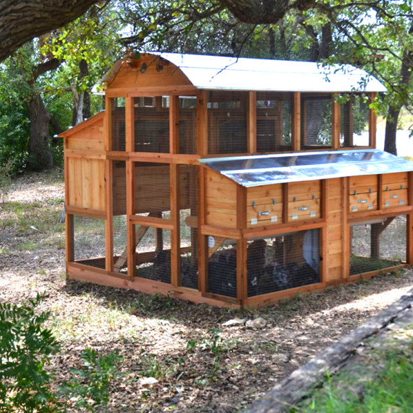 This is a larger coop that can hold up to 20 hens. It is made up of ...